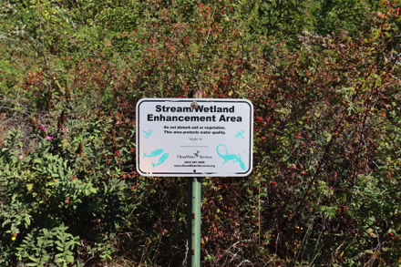 Stream/Wetland Enhancement Area